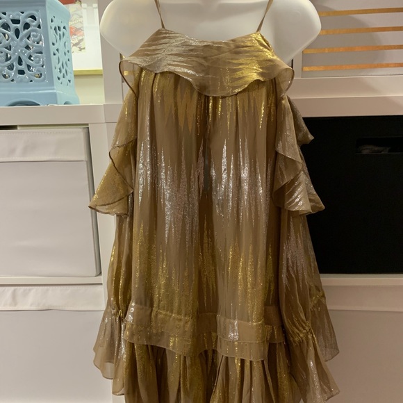 Limited edition free people silk metallic party 👗 - Picture 6 of 13